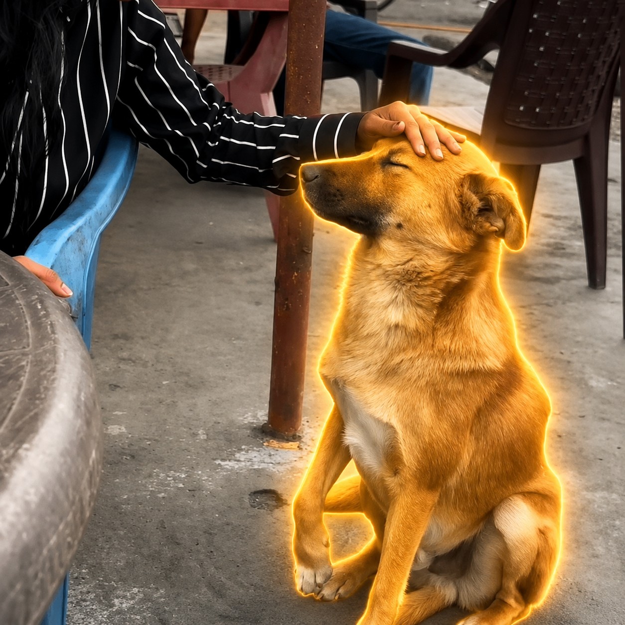 Dogs Deserve Love logo