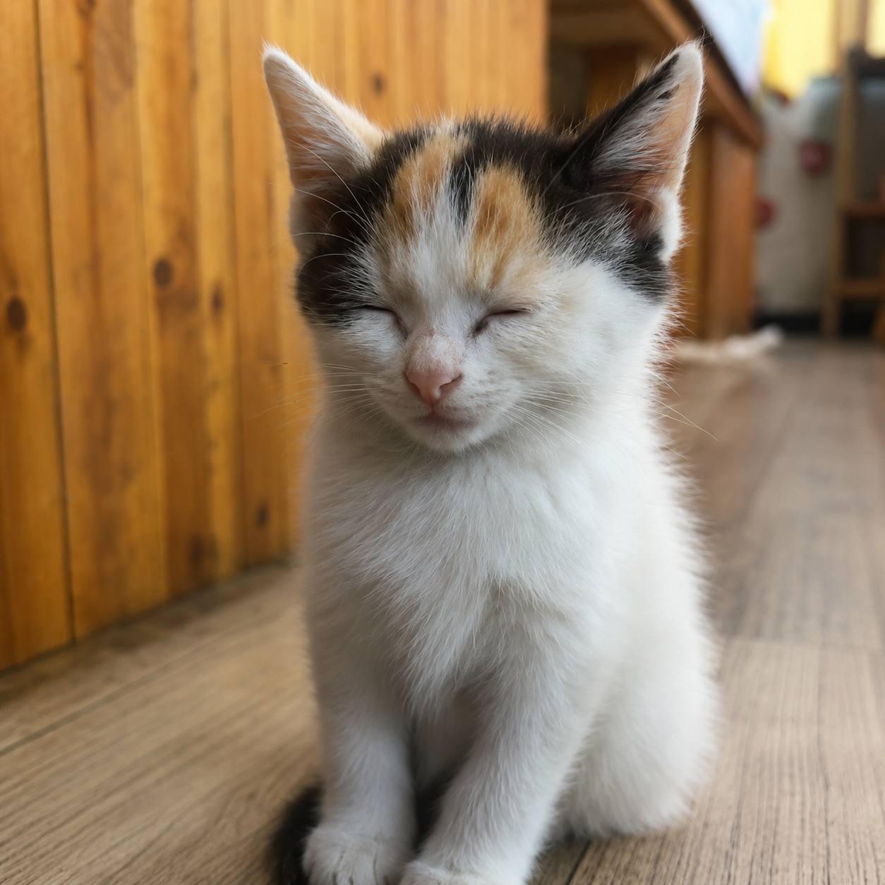 zzz