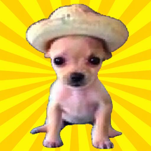 Perro