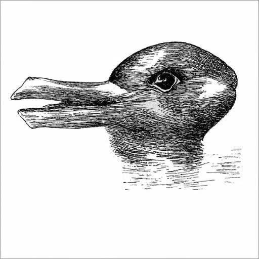 DUCKRABBIT