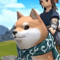 Megashiba logo