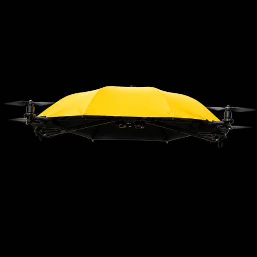 Umbrella 