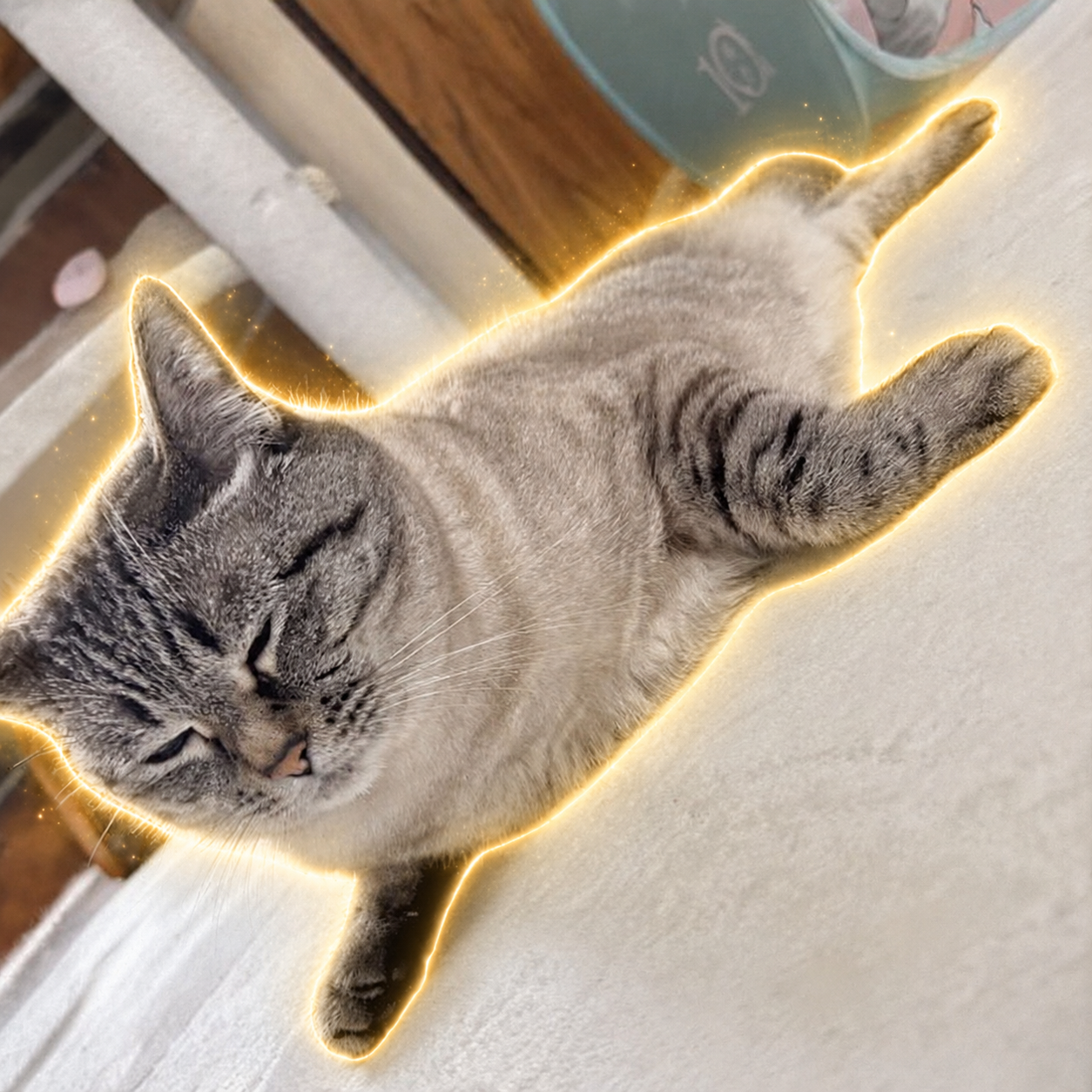 ふぅちゃん