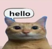 hello