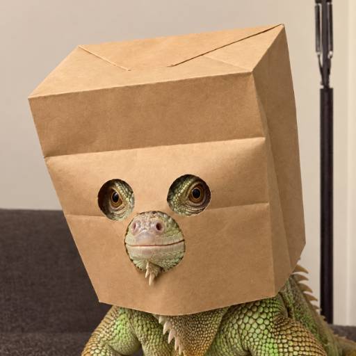 zGUANA