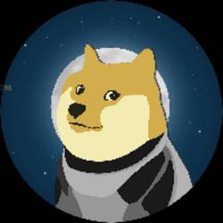Doge-1