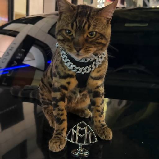 maybach logo