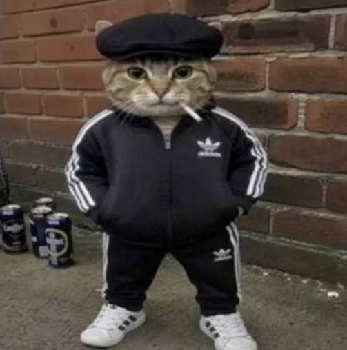 mate