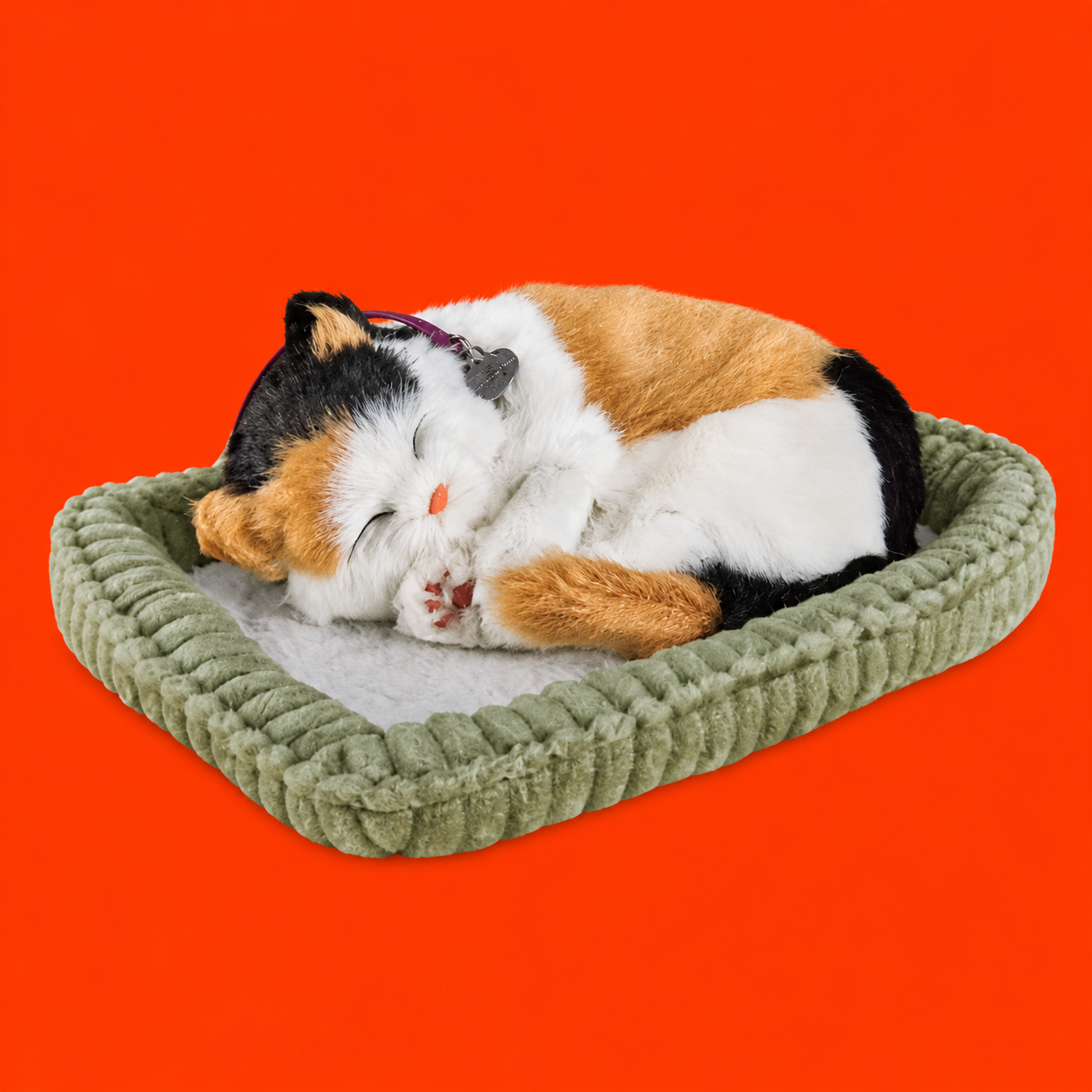 Meowdani