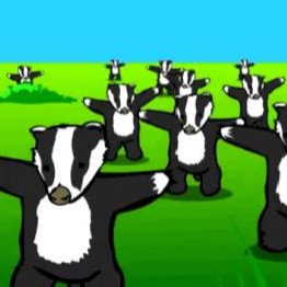 Badger