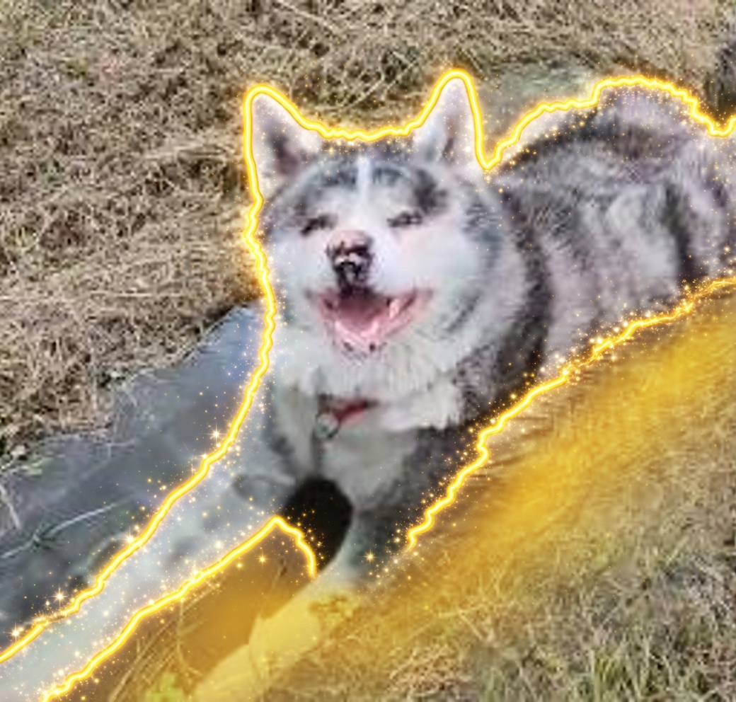 Gin The Chilldog logo