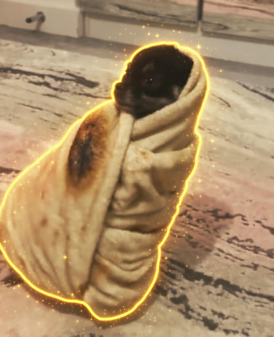 Perrito