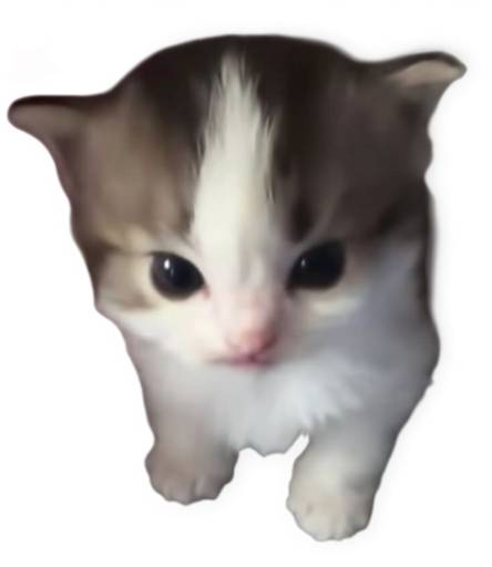 mimi logo
