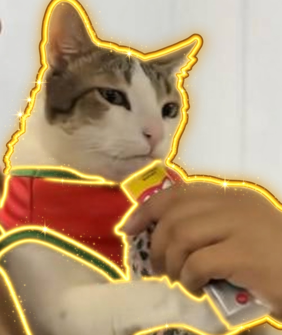 The Hugging Cat