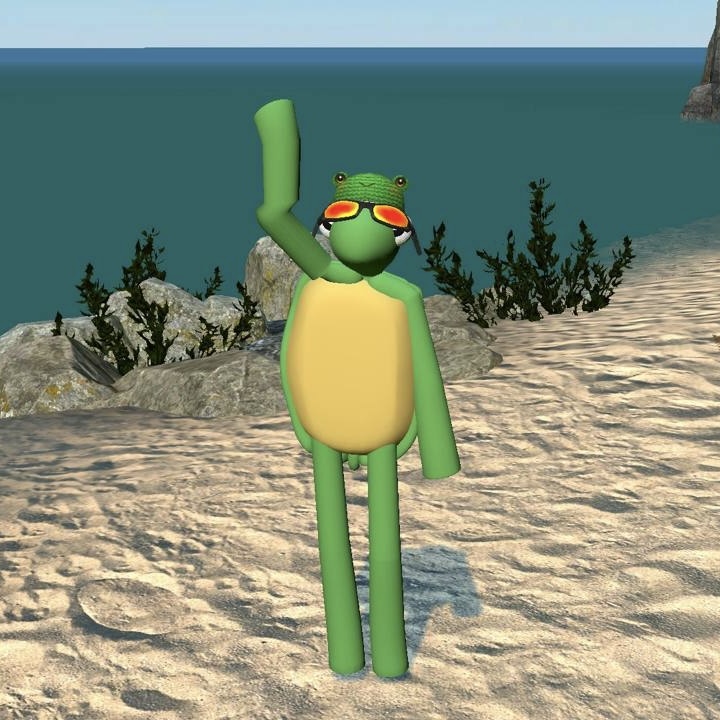 The Dancing Turtle