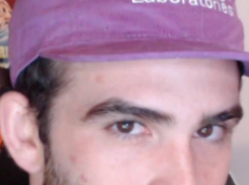 Destroy The White Race logo