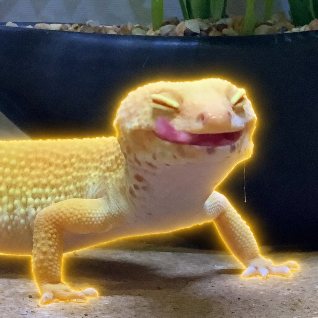 ベル
