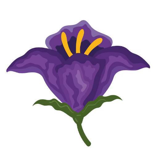 Nightshade