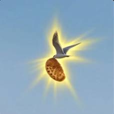 Flying Pizza Hawk logo