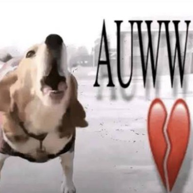 AUWW