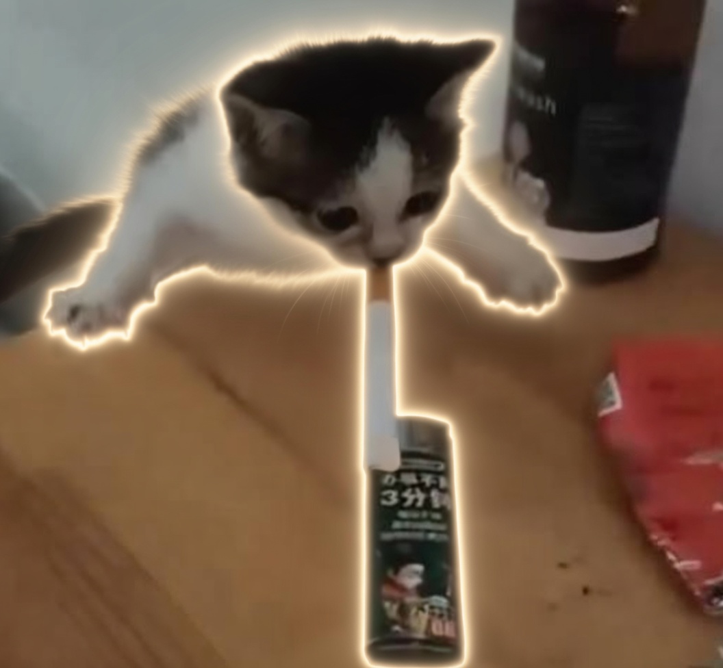 Falling Cigarette Kitten