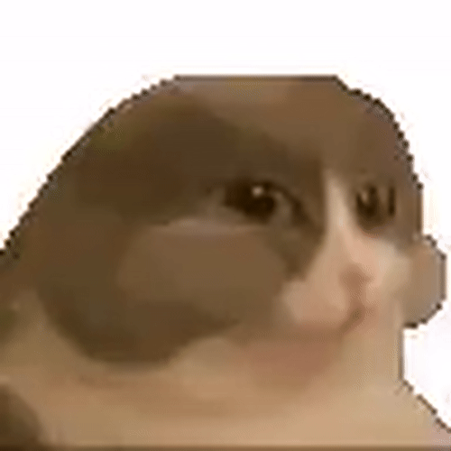 nomcat