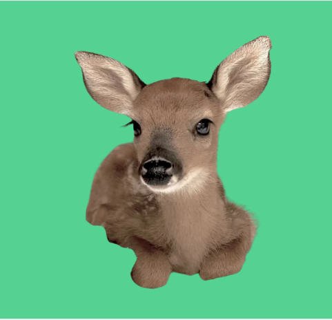 BUCK