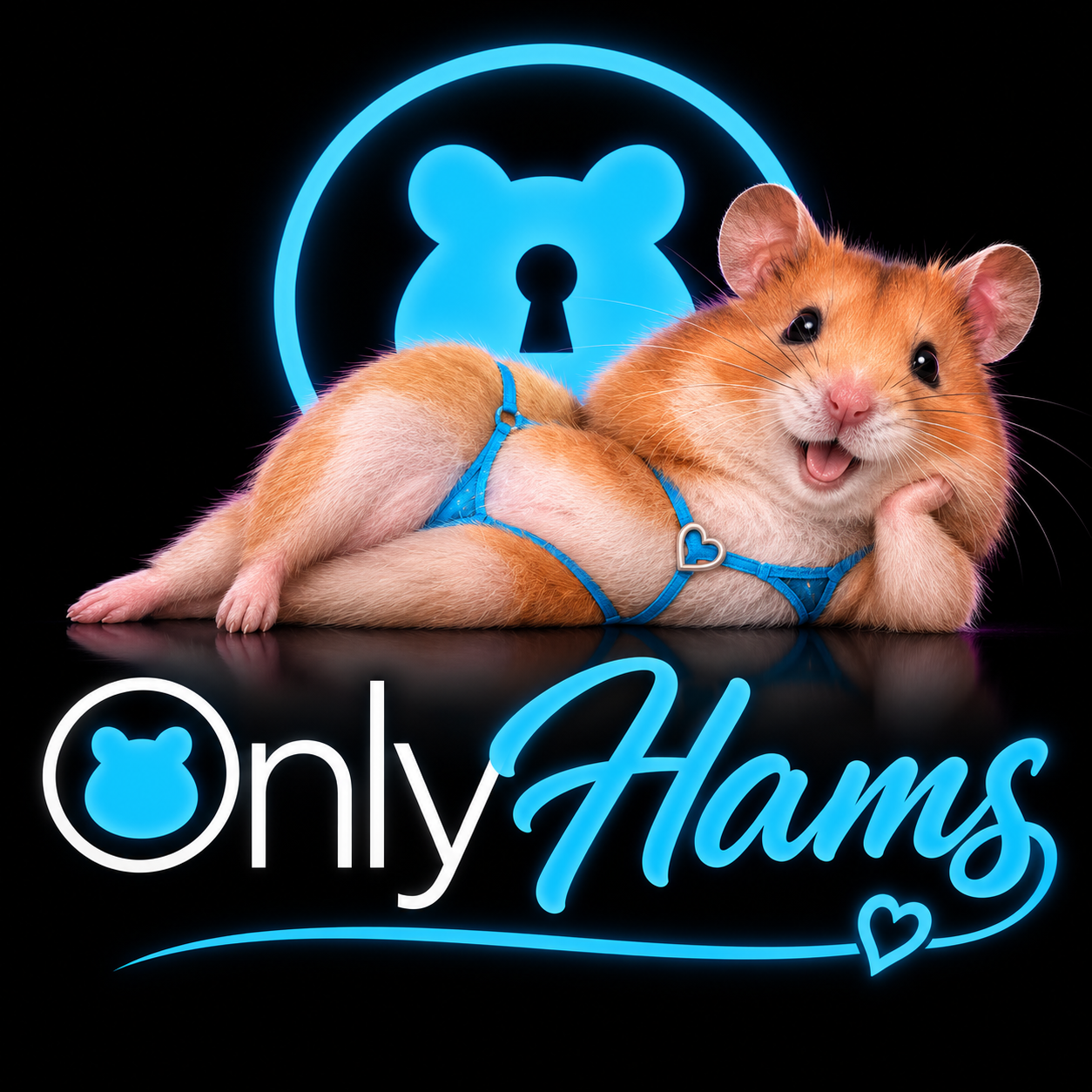 ONLYHAMS