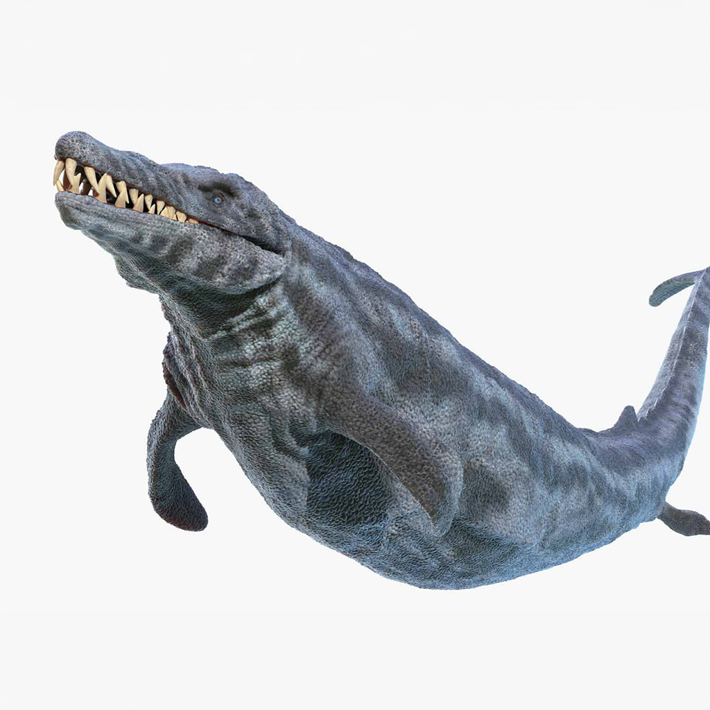 Basilosaurus