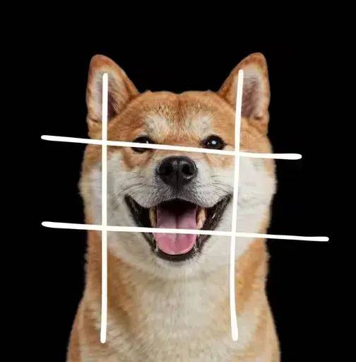 HASHDOG