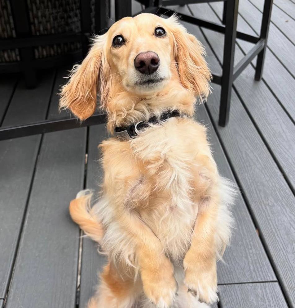 Jack