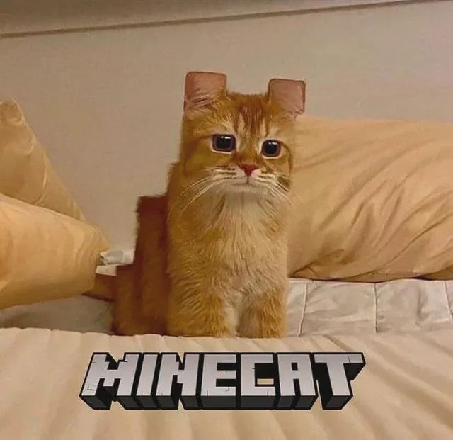 MINECAT