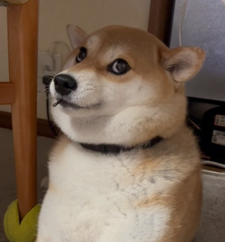 Yuki