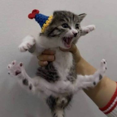 AAAAA
