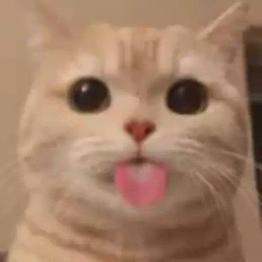 blep