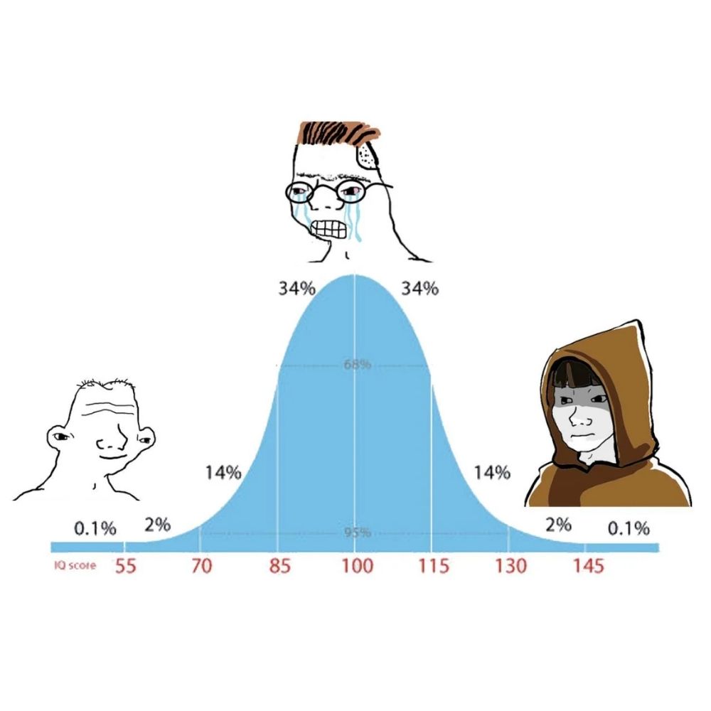 IQ Test logo