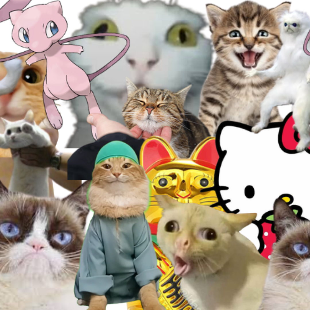 GrumpyNyanSmudgePopBongBingusCat logo