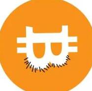 ballscoin logo
