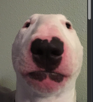 Walter