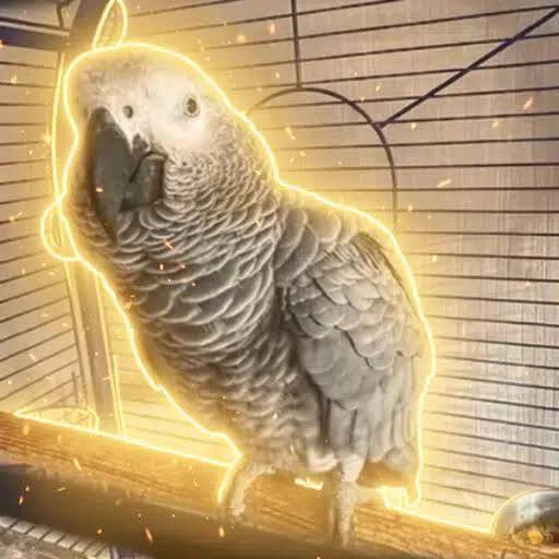 The Nietzschean Parrot logo
