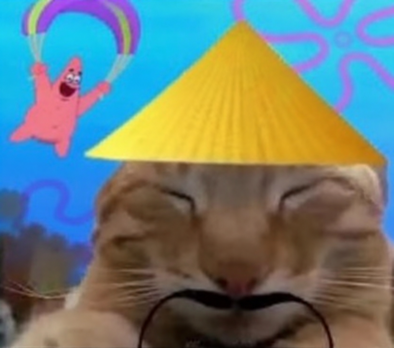 TMW