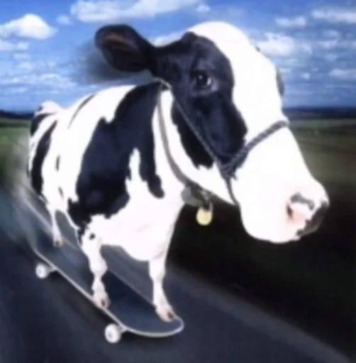 COW