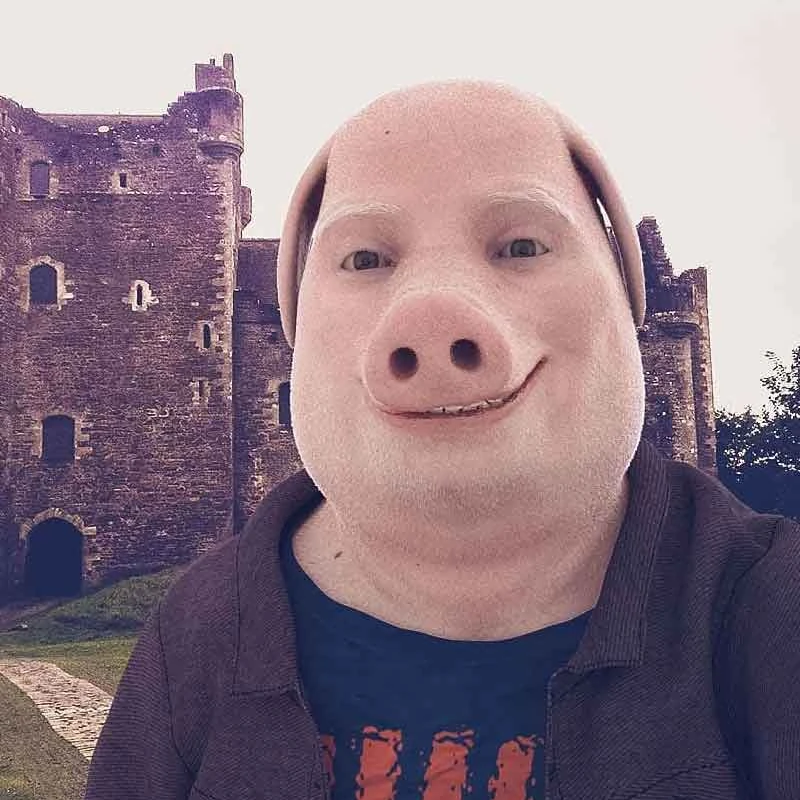 PORK token icon