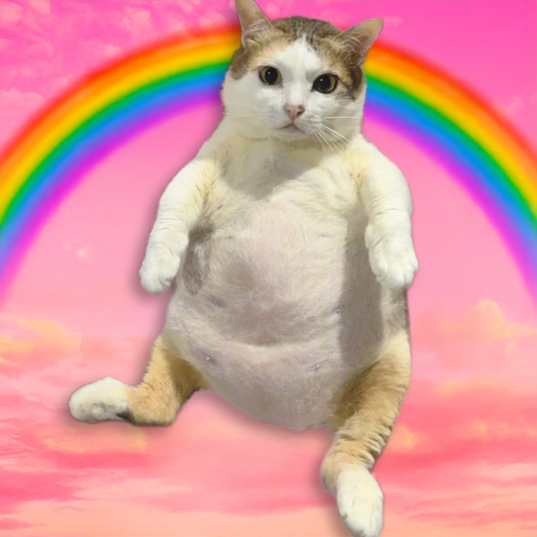 Chubby