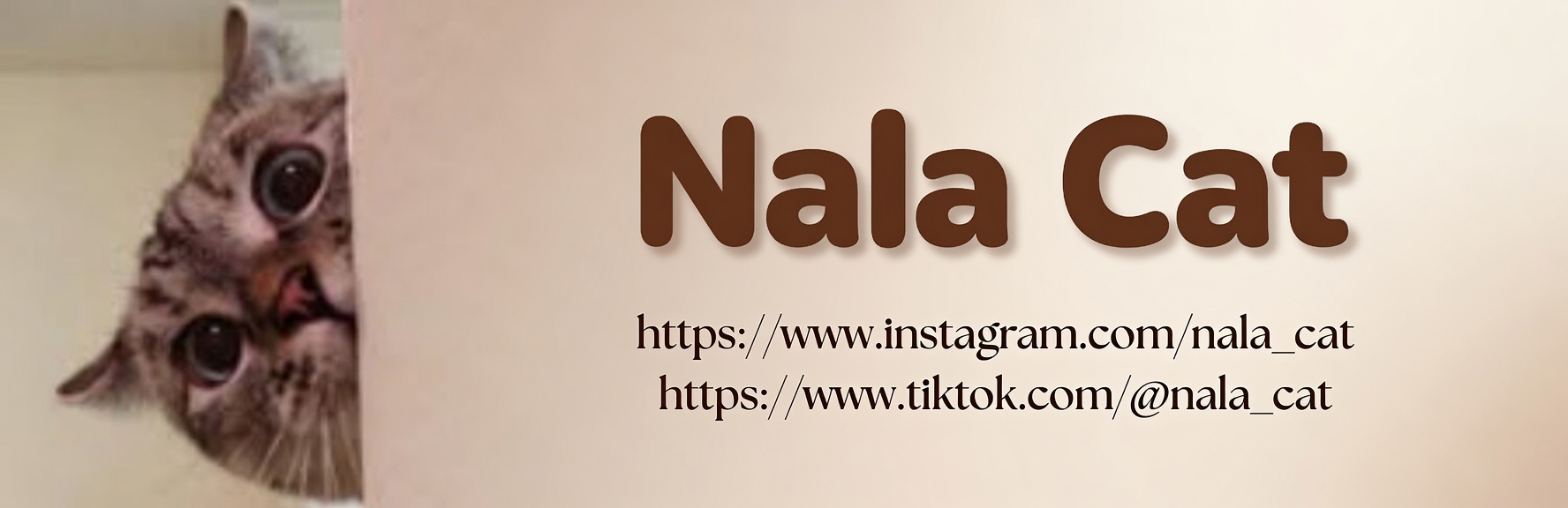 NALACAT