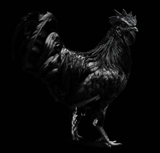 Cock