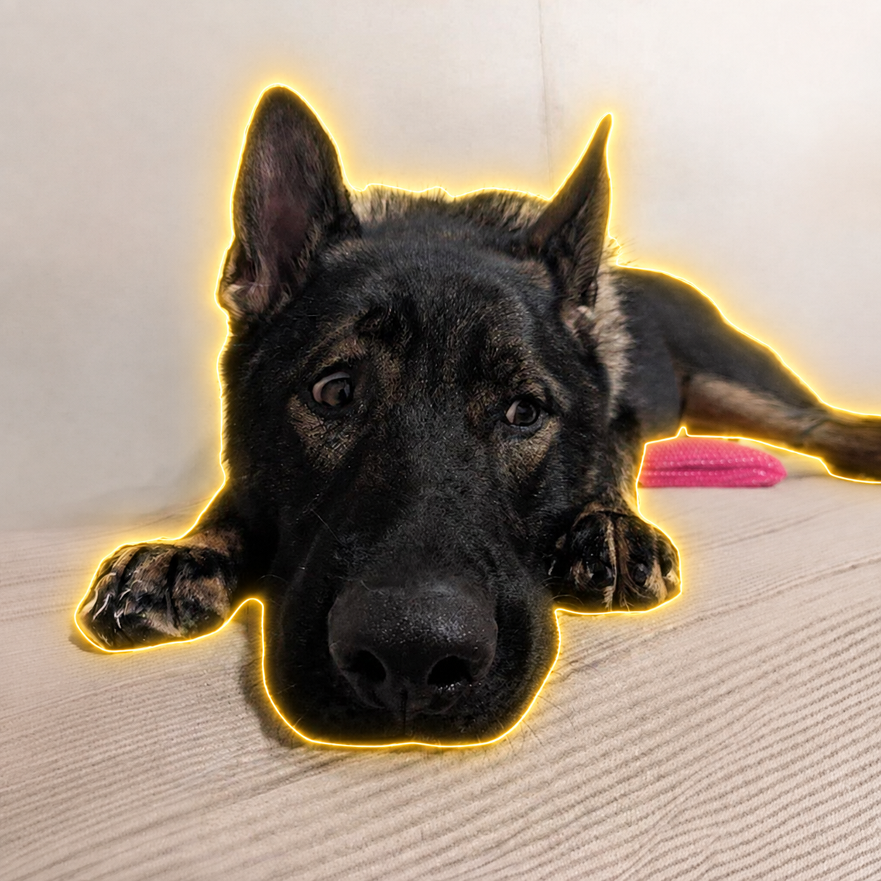 ATLAS