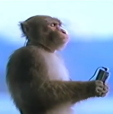 The Commercial Monkey