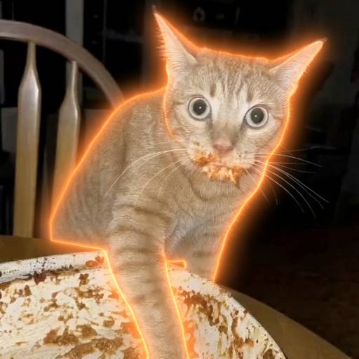 LASAGNACAT