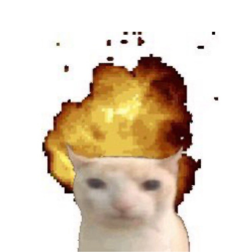 Explosion Cat